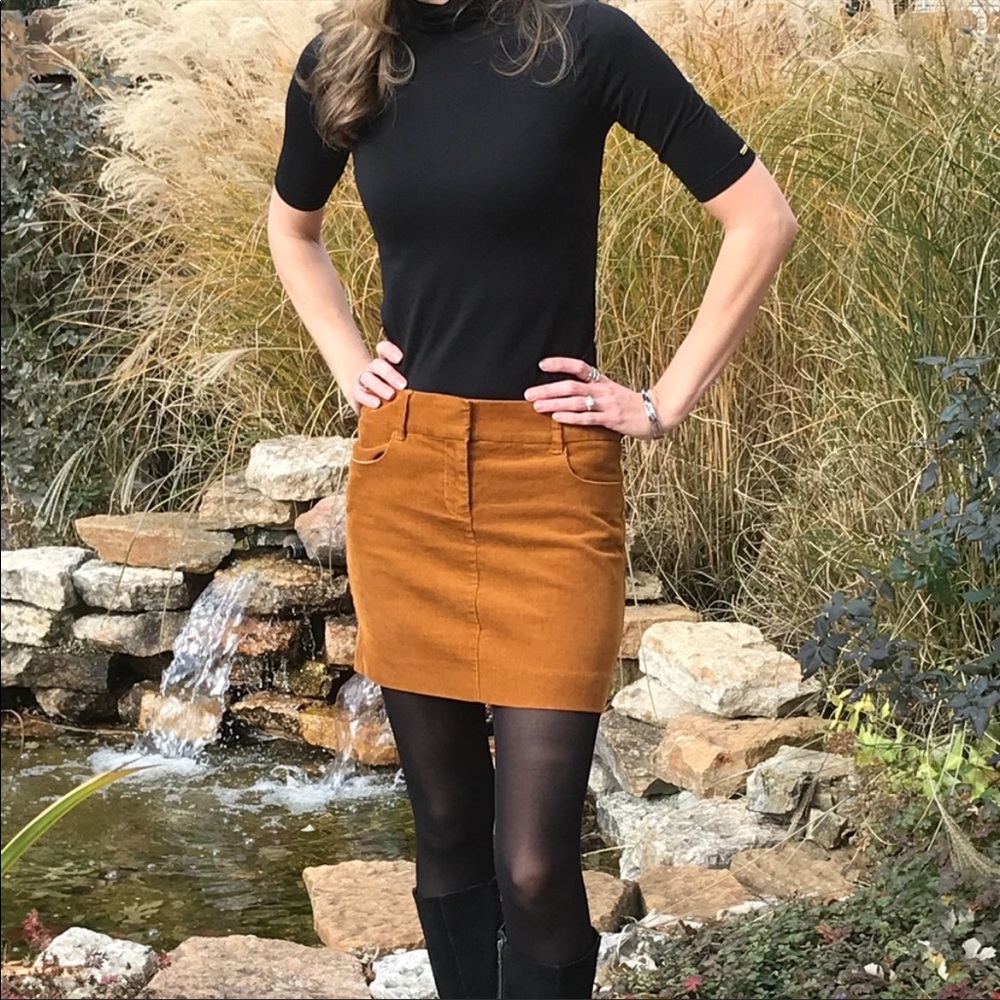 Jcrew skirt